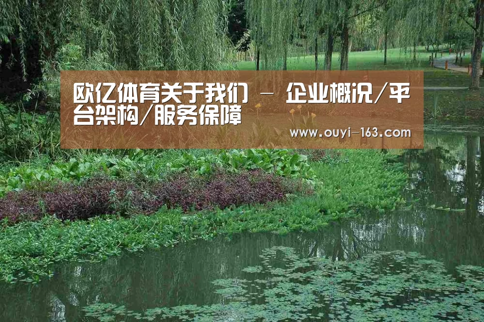 案例展示一(图1)