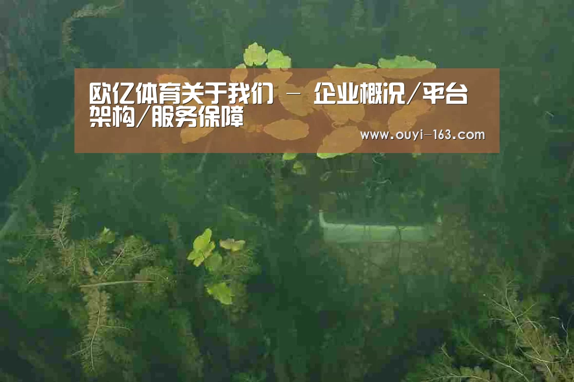 案例展示三(图1)