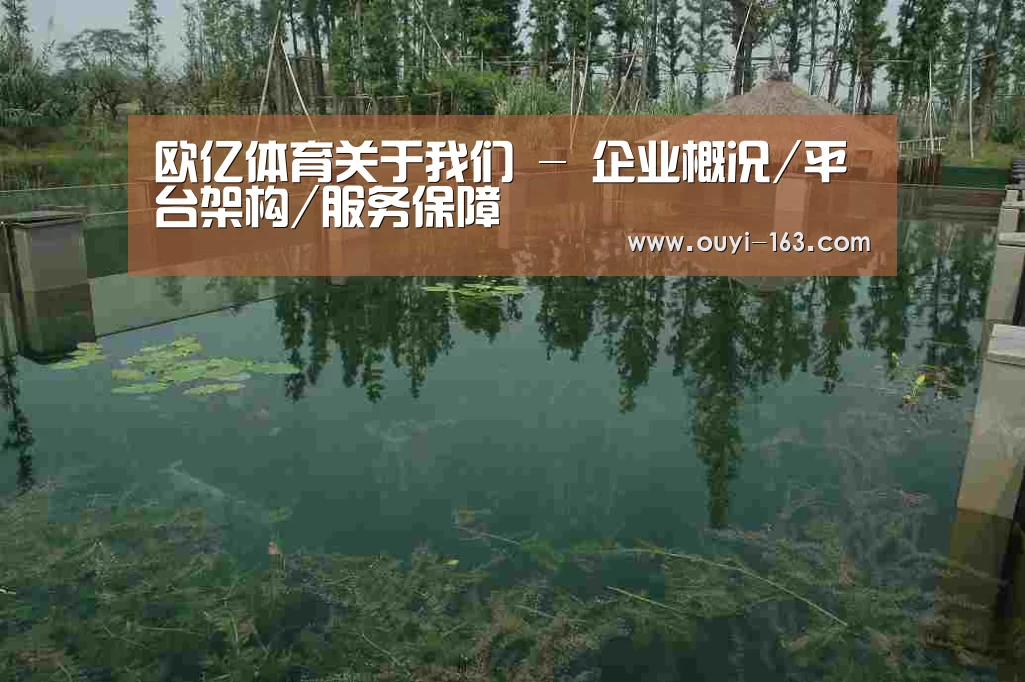 案例展示二(图1)