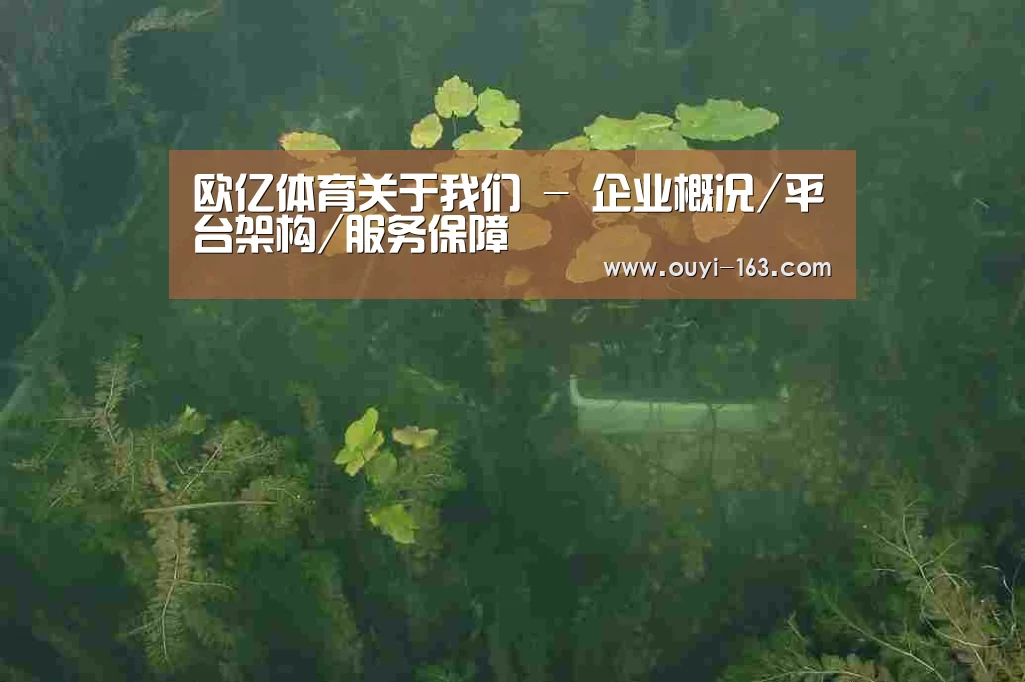 案例展示三