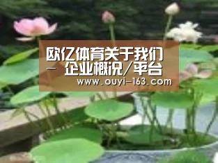 产品名称一