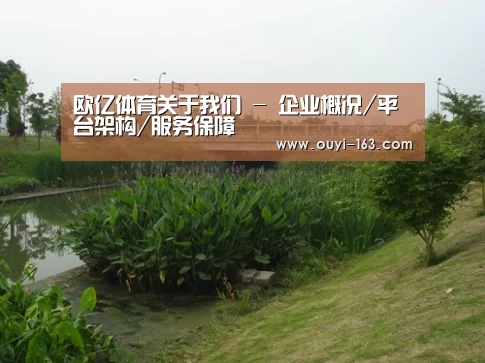 案例展示四