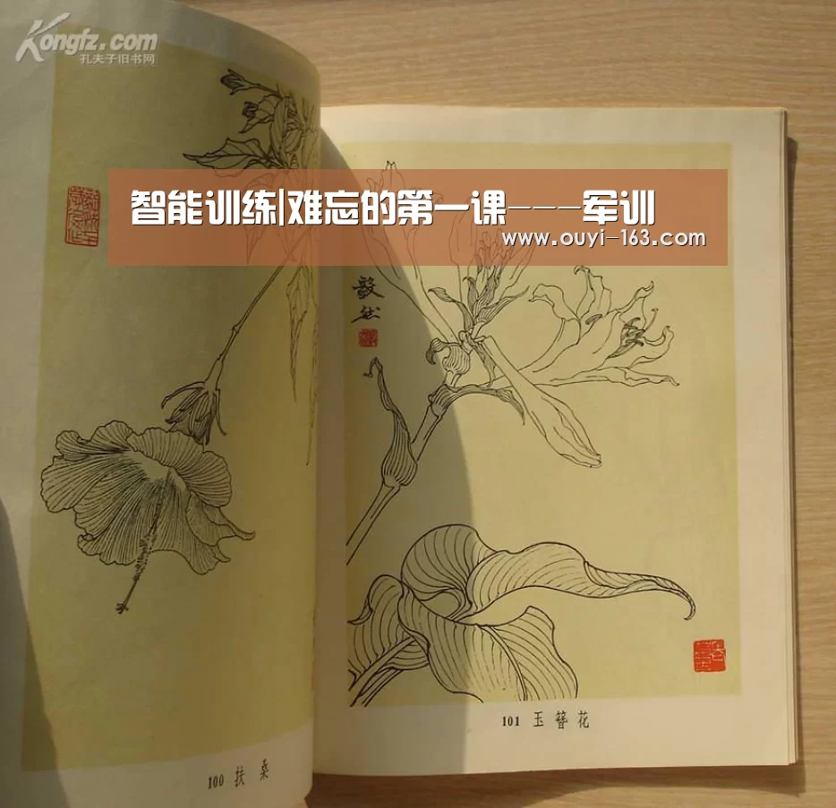  智能训练