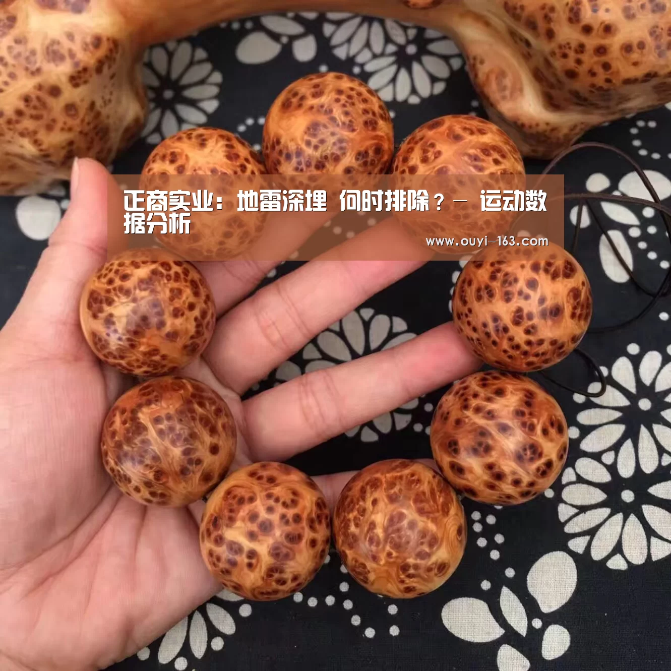 正商实业:地雷深埋 何时排除?- 运动数据分析(图3) 运动健身